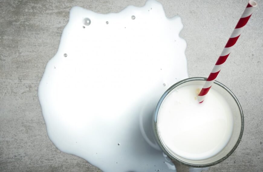 Résilience en agriculture : Les membres de la plateforme d’Innovation lait s’outillent sur la loi OHADA