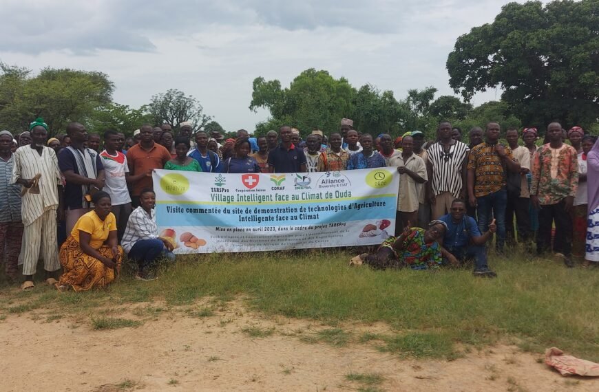 Changements climatiques : L’agriculture intelligente face au climat pour les producteurs du Zoundwéogo